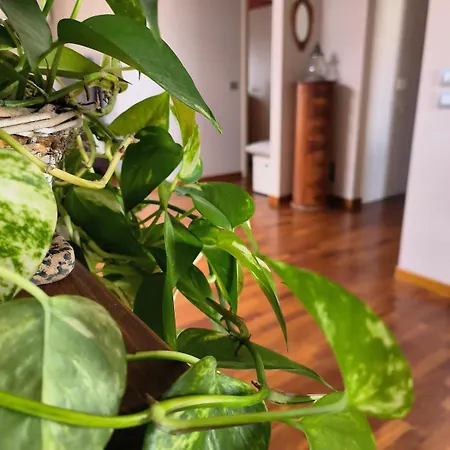 Casa Vacanze Annina *